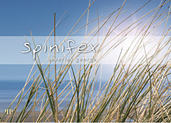 spinifex.jpg